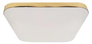 Plafonieră LED pentru baie NEMO LED/17W/230V IP44 aurie