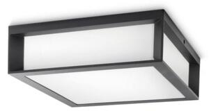 Plafonieră de exterior SKIES 2xE27/14W/230V IP44 antracit Philips