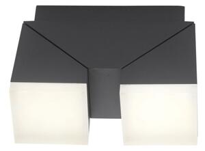 Aplică LED de exterior RYAN 2xLED/5W/230V IP54 Paul Neuhaus 9722-13