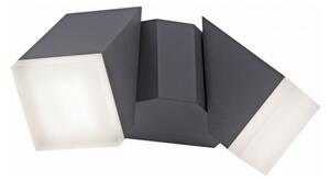 Aplică LED de exterior RYAN 2xLED/5W/230V IP54 Paul Neuhaus 9722-13