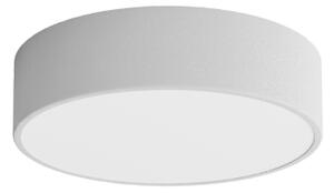 Plafonieră pentru baie CLEO 2xE27/24W/230V d. 30 cm gri IP54