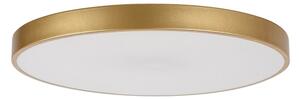 Rabalux 71038 -LED Plafonieră LED dimabilă TESIA LED/60W/230V 3000-6000K+telecomandă