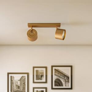 Argon Spot de tavan Chloe reglabil cu 2 becuri, auriu,, Auriu / Alamă, Camera de zi / sufragerie, Metal, Modern