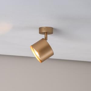Argon Spot de tavan Chloe reglabil cu 1 bec, auriu,, Auriu / Alamă, Camera de zi / sufragerie, Metal, Modern
