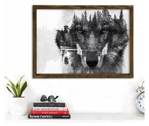 Tablou Husky, 70 x 50 cm