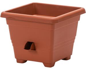 Ghiveci autoudare BERGAMOT Plastia 25 x 25, 25 x 25 cm, 25 x 25 cm
