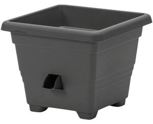 Plastia Ghiveci auto-udare BERGAMOT Plastia, , 25 x 25 cm, 25 x 25 cm