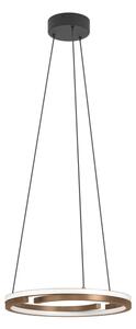 Eglo 901826 - Lustră LED dimabilă pe cablu MEZZOMONTE 2xLED/20W/230V bronz + telecomandă