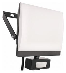 Proiector LED cu senzor de mișcare TAMBO EVO LED/30W/230V 4000K IP44 negru