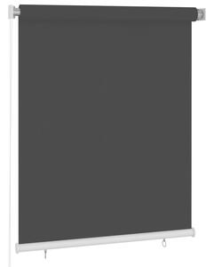 Jaluzea tip rulou de exterior, 120 x 140 cm, negru