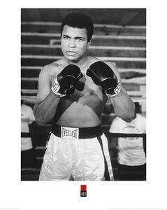 Imprimare de artă Muhammad Ali - Pose, (60 x 80 cm)