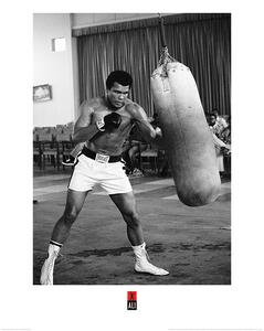 Imprimare de artă Muhammad Ali - Punch Bag, (60 x 80 cm)