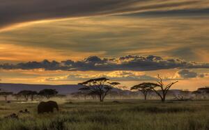Fotografie Africa, Amnon Eichelberg