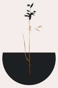 Ilustrație Planta Negra, Kubistika