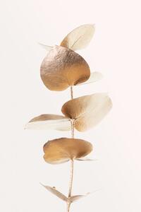 Ilustrație Eucalyptus Gold No 06, Studio Collection