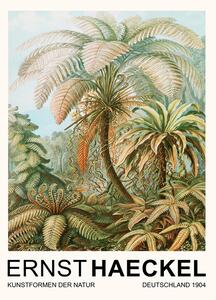 Reproducere Filicinae–Laubfarne / Rainforest Trees (Vintage Academia) - Ernst Haeckel