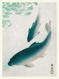 Reproducere Two Carp Fish (Japandi Vintage) - Ohara Koson, (30 x 40 cm)