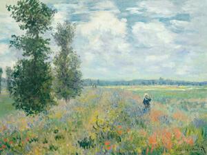 Reproducere Poppy Fields near Argenteuil - Claude Monet