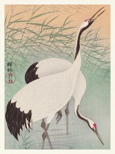 Reproducere Two Cranes (Japandi Vintge) - Ohara Koson