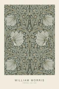 Reproducere Pimpernel (Special Edition Classic Vintage Pattern) - William Morris, (26.7 x 40 cm)