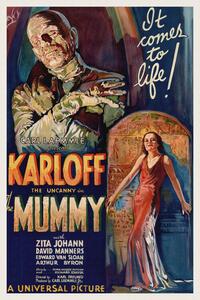 Reproducere The Mummy (Vintage Cinema / Retro Movie Theatre Poster / Horror & Sci-Fi)