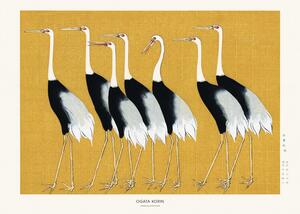 Reproducere Japanese Red Crown Crane, Studio Collection