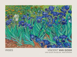 Reproducere Irises (Museum Vintage Floral / Flower Landscape) - Vincent van Gogh, (40 x 30 cm)