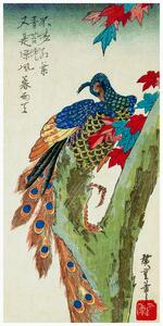 Reproducere Peacock Perched on a Maple Tree (Japan) - Utagawa Hiroshige, (20 x 40 cm)