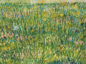 Reproducere A Patch of Grass - Vincent van Gogh