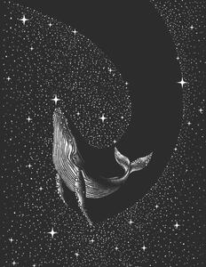 Ilustrație Starry Whale, Aliriza Cakir