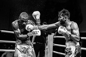 Fotografie Boxing, Reza Mohammadi