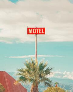 Fotografie This Motel is for the Birds, Tom Windeknecht