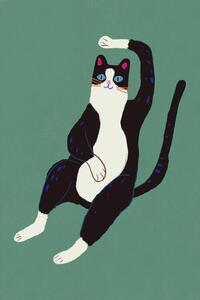 Ilustrație Black and white cat, Little Dean