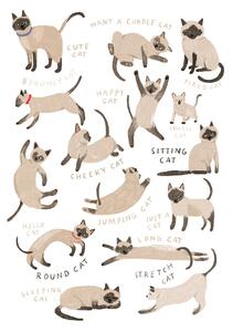 Ilustrație Siamese Cat Print, Hanna Melin