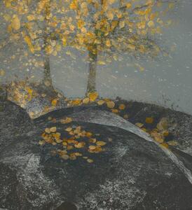 Ilustrație Falling leaves, Nel Talen
