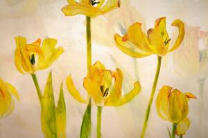 Ilustrație Flowering tulips, Nel Talen