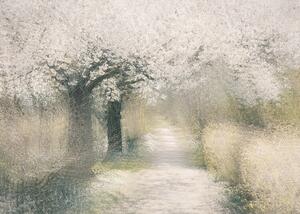 Ilustrație Cherry blossom, Nel Talen