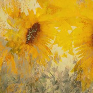 Ilustrație Sunflower, Nel Talen
