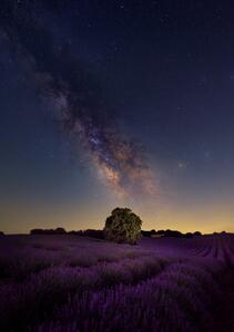 Fotografie Milky Way dreams, Carlos Hernandez Martinez