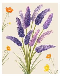 Ilustrație Purple flower, Bohonewart