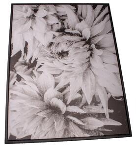 Tablou pe pânză Dahlia, cu ramă, 50 x 70 cm
