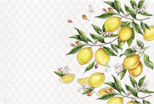 Suport pentru farfurii din plastic 43x29 cm Citrons - IHR