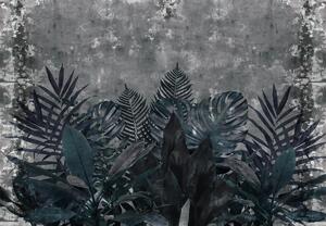 Fototapet - Plante în întuneric (147x102 cm)