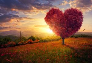 Fototapet - Copac în formă de inimă (147x102 cm)