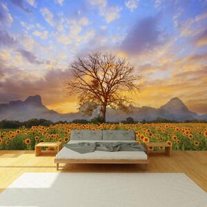 Fototapet - Copac în floarea soarelui (147x102 cm)