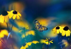 Fototapet - Flori galbene cu fluture (147x102 cm)
