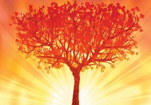 Fototapet - Copacul în razele solare (147x102 cm)