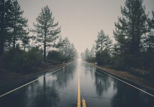 Fototapet - Drum în ploaie (147x102 cm)