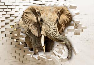 Fototapet - Elefant spărgând perete (147x102 cm)
