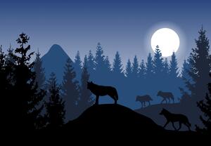 Fototapet - Haită de lupi sub clar de lună (147x102 cm)